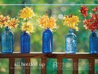 All Bottled Up, Southern Living Magazine, Azalea flowers, Photograph Joseph De Sciose