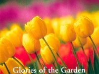 New York Botanical Gardens Brochure