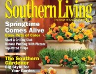 Cover Southern Living Magazine, March 2005, pansies, containers, photograph, Joseph De Sciose