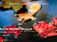 New York Botanical Gardens card.