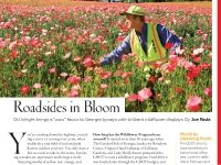 Southern Living Magazine, June 2008, Georgia roadside wildflowers