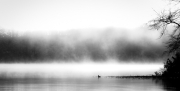 Morning Fog on the Lake