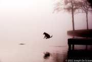 Jumping In.