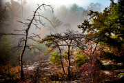 JDS_211112_165