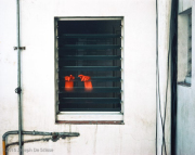 Rubber Gloves, Barcelona, Spain 1977