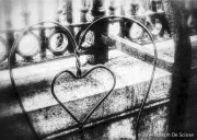 Strong Heart, New Orleans