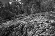 Moss Rock Preserve