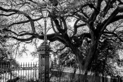 New Orleans