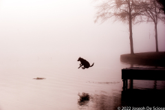 Jumping In.