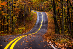 Little River Canyon, autumn, country road