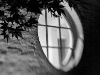 Oval window in the wall of a house
