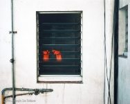 Rubber Gloves, Barcelona, Spain 1977