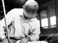 Sheep shearing, Virginia, 1983 Virginia,