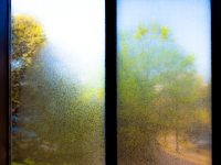 Mist on a Window view, looking out